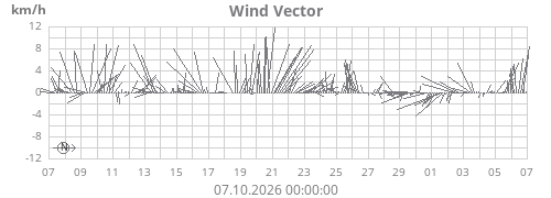 Wind Vector