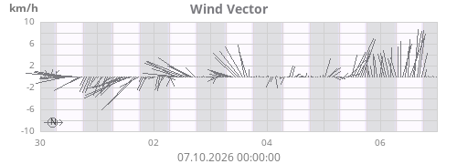 Wind Vector